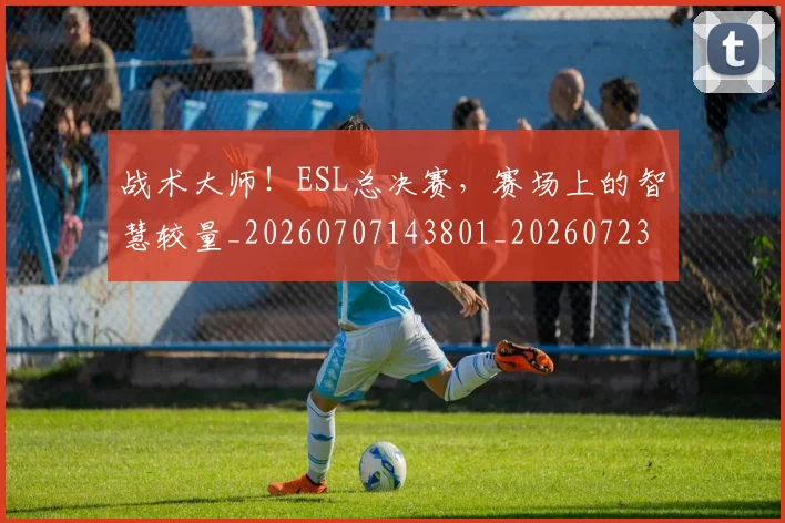 战术大师！ESL总决赛，赛场上的智慧较量_20260707143801_20260723181723