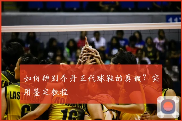 如何辨别乔丹正代球鞋的真假？实用鉴定教程